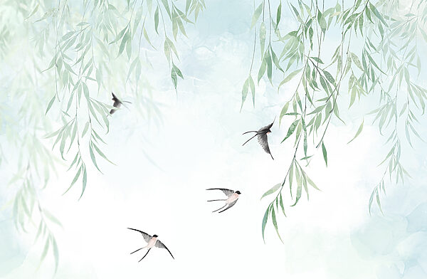 Birds flying in the sky