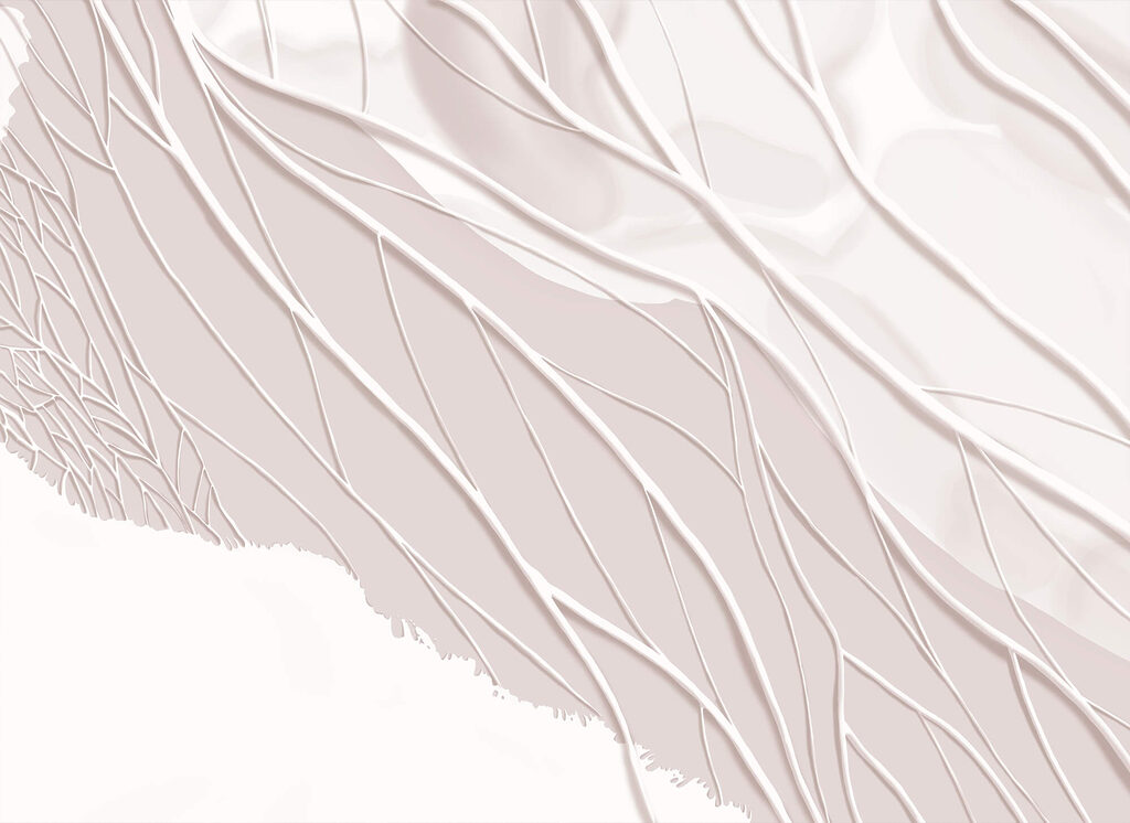 White lines on a white surface