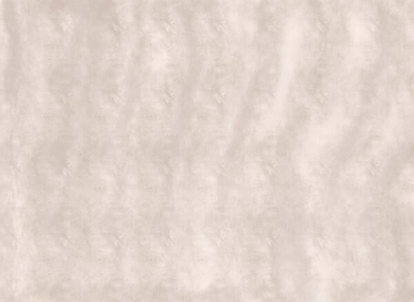 Serene and soft neutral backdrop Serene and soft neutral backdrop