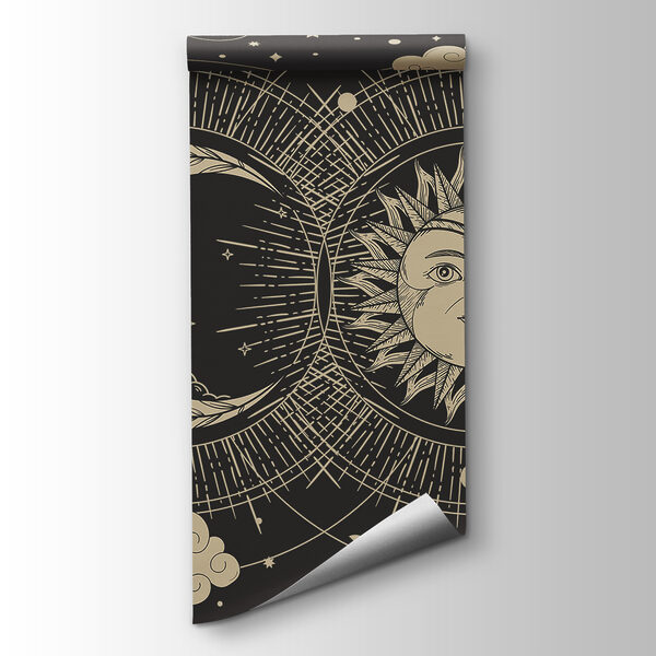 Sun and moon in the sky Sun and moon in the sky