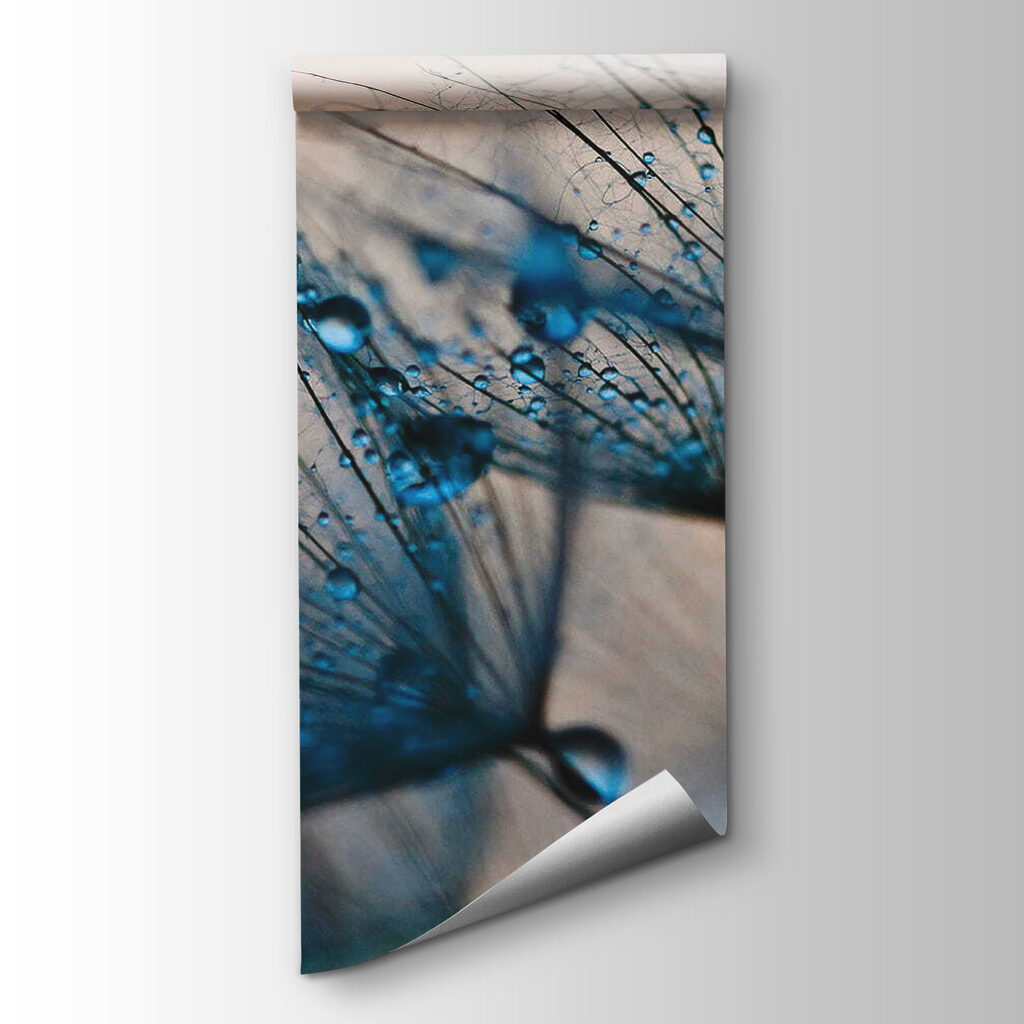 Delicate droplets on fragile petals Delicate droplets on fragile petals