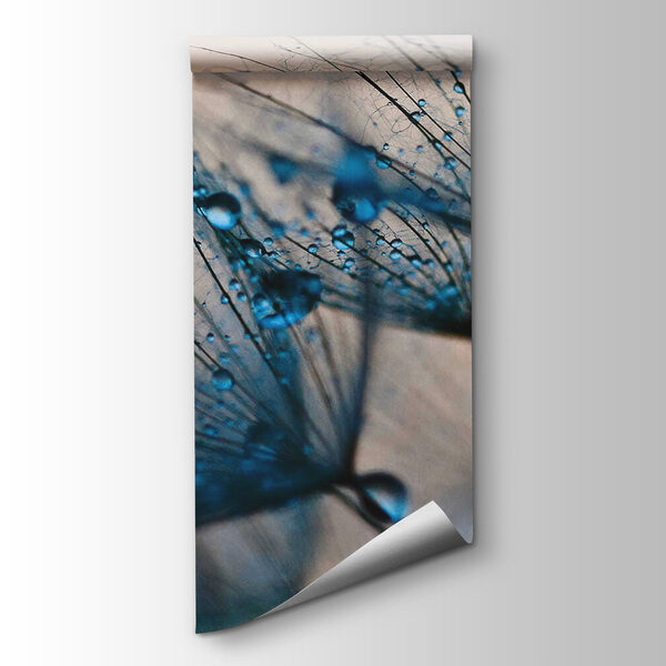 Delicate droplets on fragile petals Delicate droplets on fragile petals