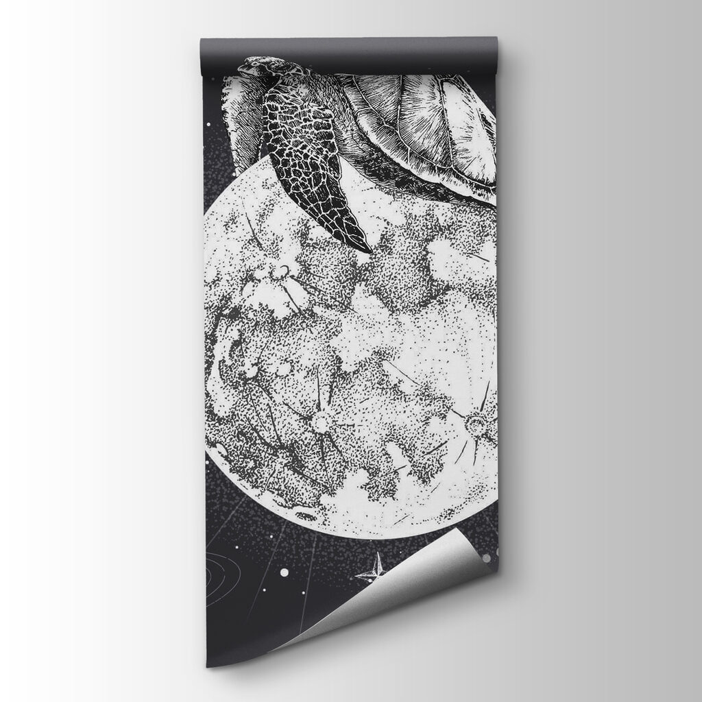 Turtle on the moon Turtle on the moon