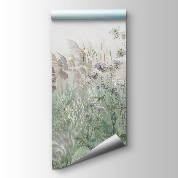 Field of grass and flowers Field of grass and flowers