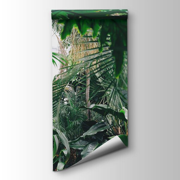 Group of green leaves Group of green leaves