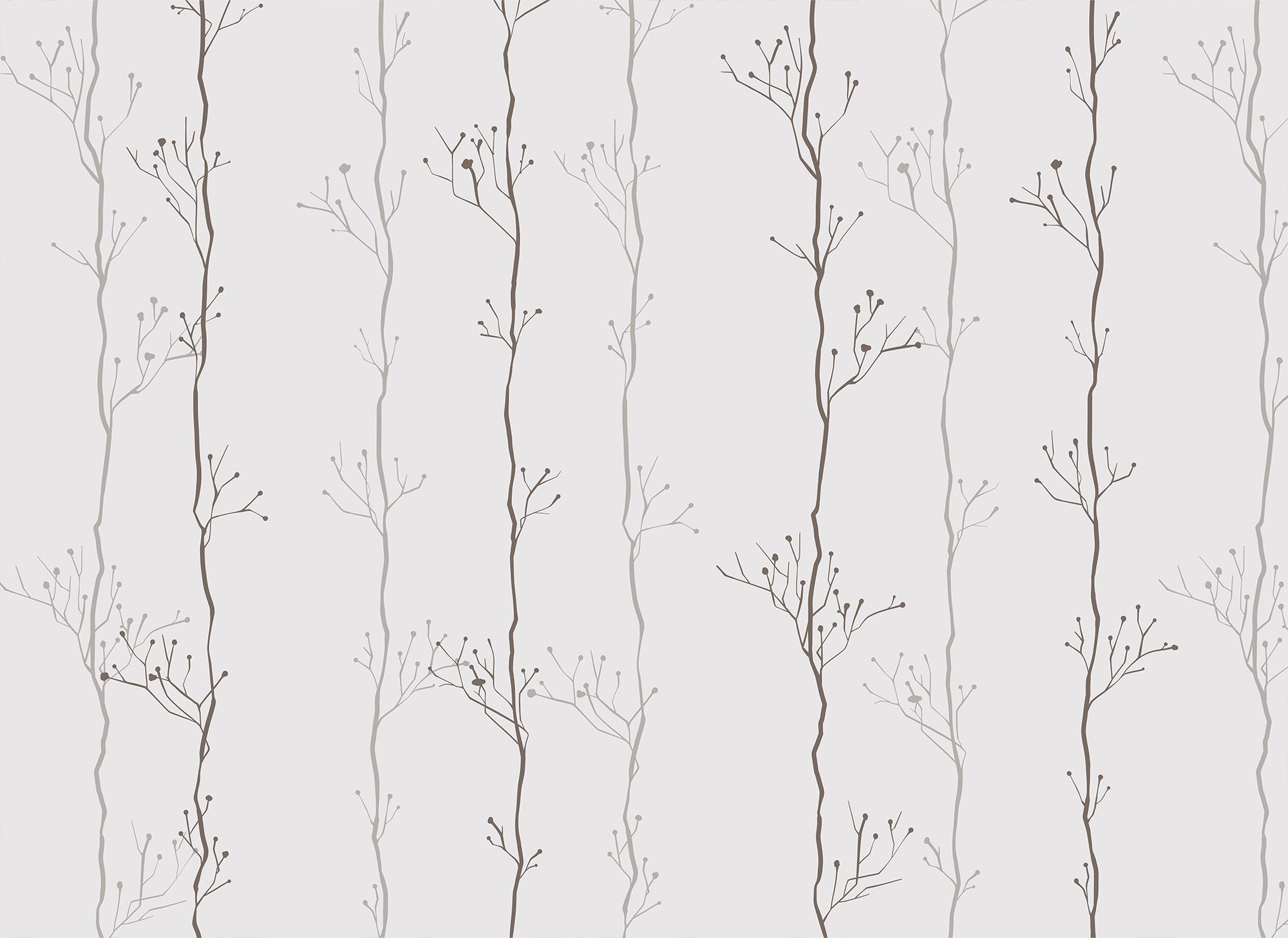 Pattern of branches on a white background Pattern of branches on a white background