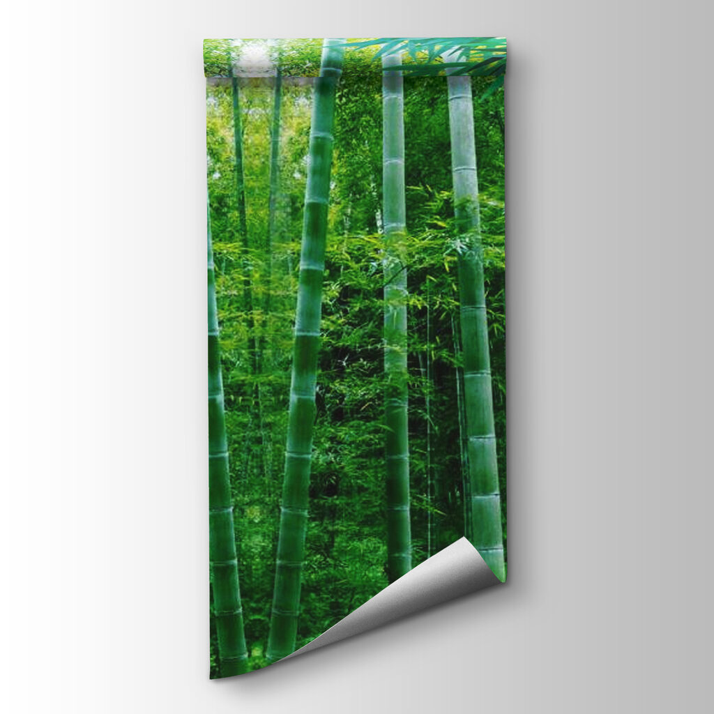 Group of bamboo trees