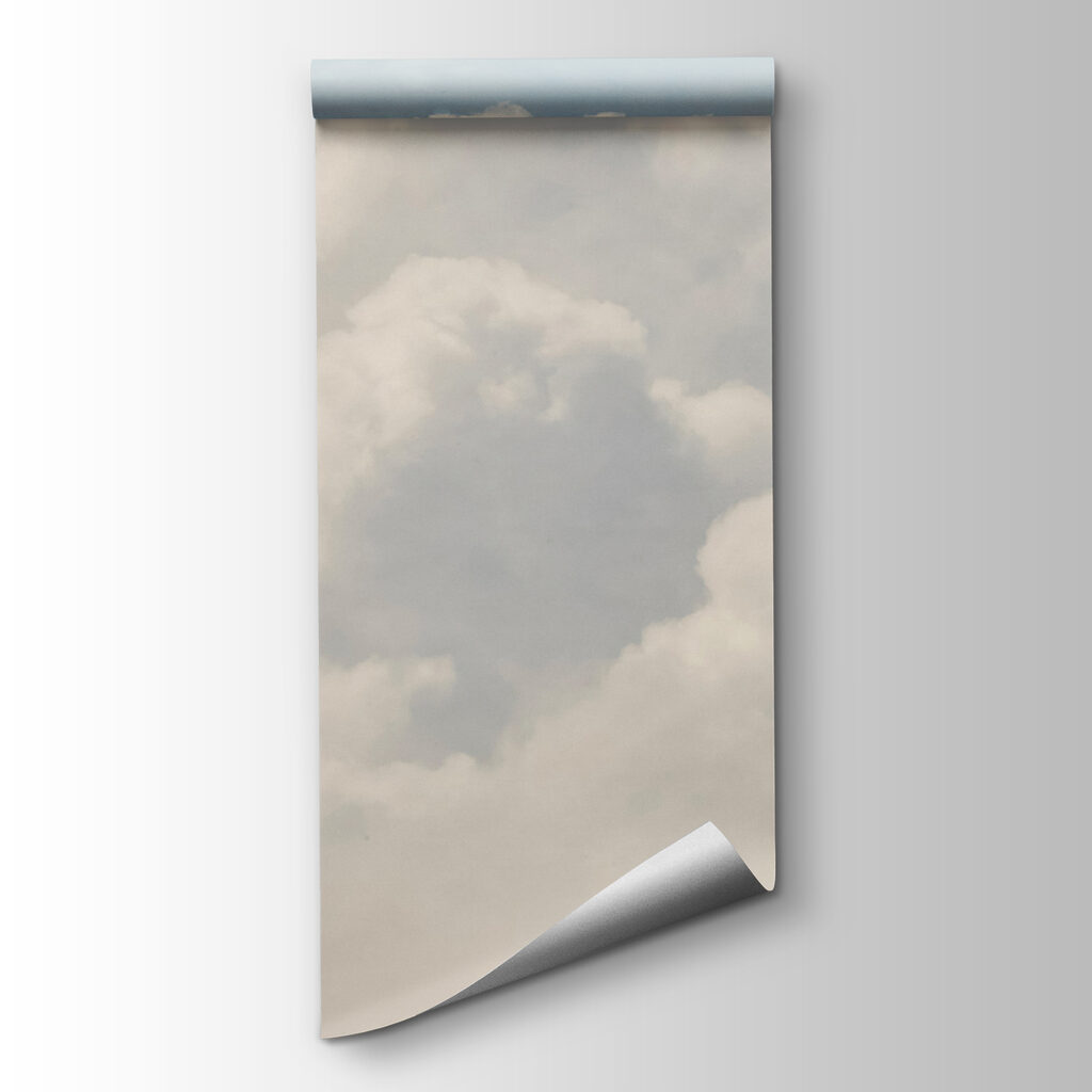 Large white cloud in the sky Large white cloud in the sky