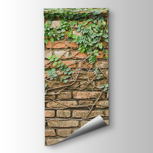 A brick wall with ivy growing on it