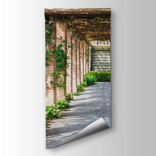 Walkway with stone pillars and vines Walkway with stone pillars and vines