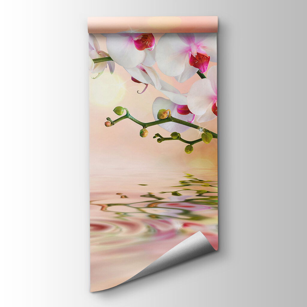 White orchids on a branch with water ripples White orchids on a branch with water ripples