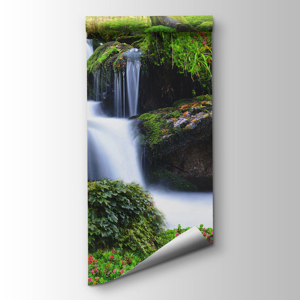 Lion lying on a rock next to a waterfall Lion lying on a rock next to a waterfall