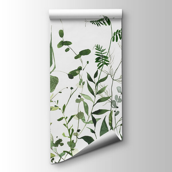 Lush greenery on a white background