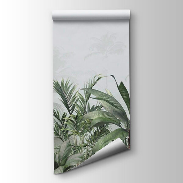 Group of plants in a foggy forest Group of plants in a foggy forest