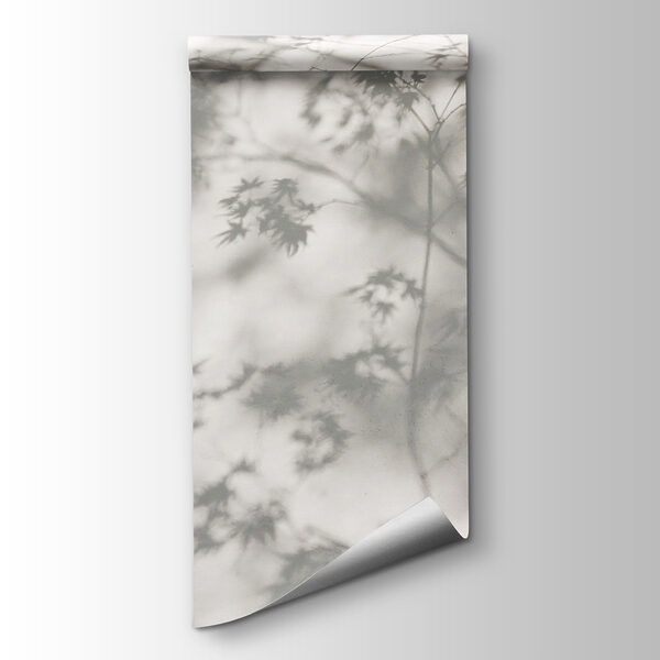 Shadows leaves on a wall Shadows leaves on a wall