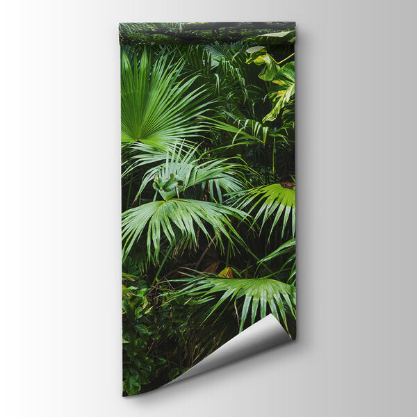 Group of green leaves Group of green leaves