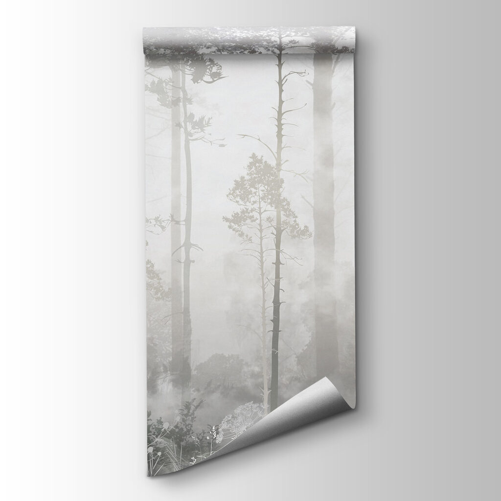 Foggy forest with tall trees