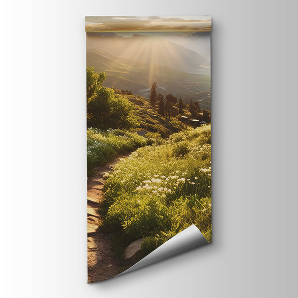 Path through a grassy field with mountains in the background