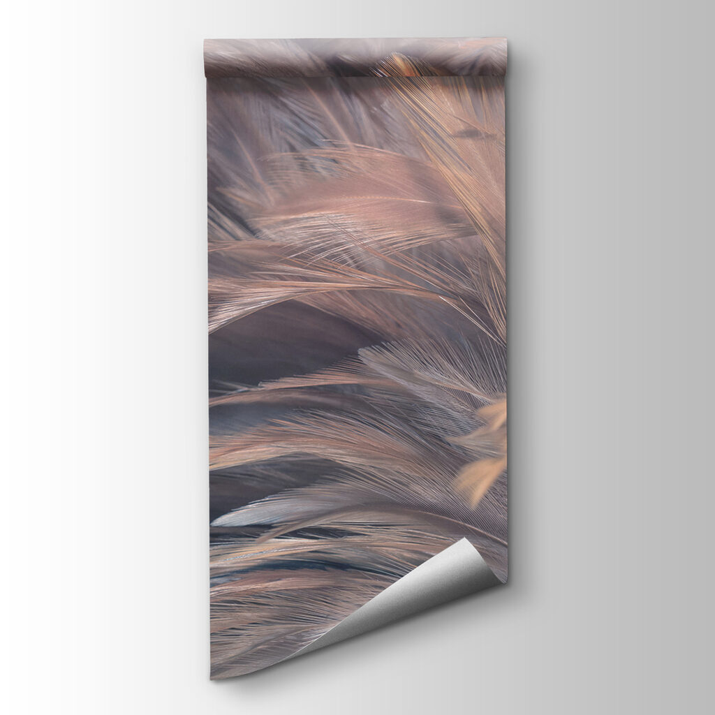 Soft and delicate feather textures Soft and delicate feather textures