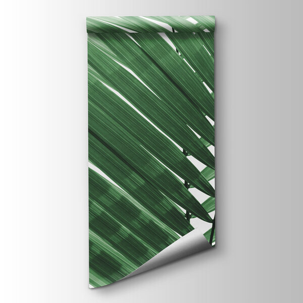 Lush green palm leaves against white