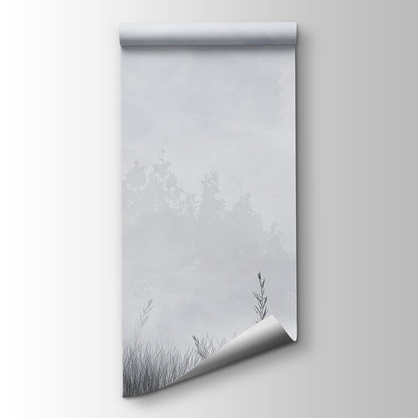 Foggy landscape with trees and grass