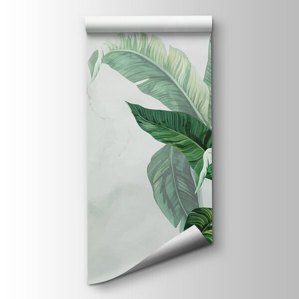 Close up of a plant Close up of a plant