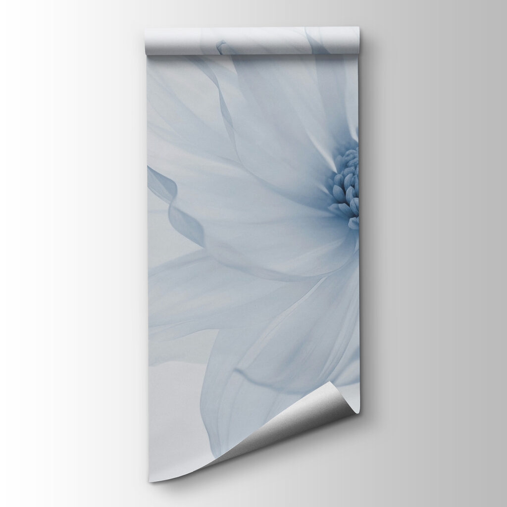 Delicate bloom in soft hues Delicate bloom in soft hues