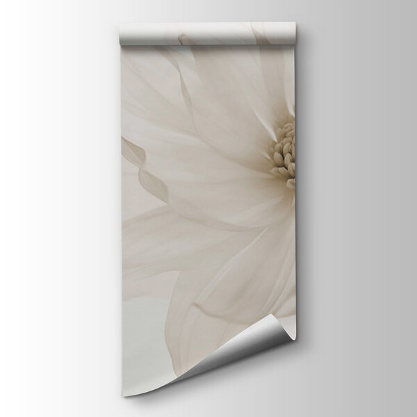 Delicate petals of pure elegance Delicate petals of pure elegance