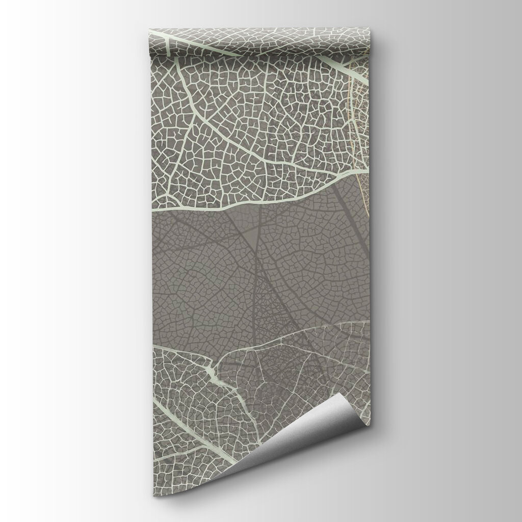 Delicate patterns of leaf veins