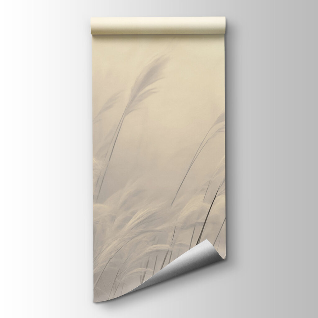 Gentle grasses in soft light