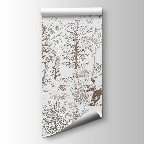 Bear walking in the woods