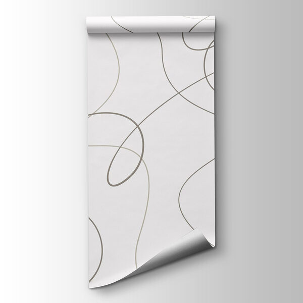 White background with black lines