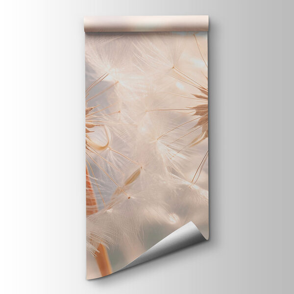 Delicate dandelion seeds in soft light Delicate dandelion seeds in soft light