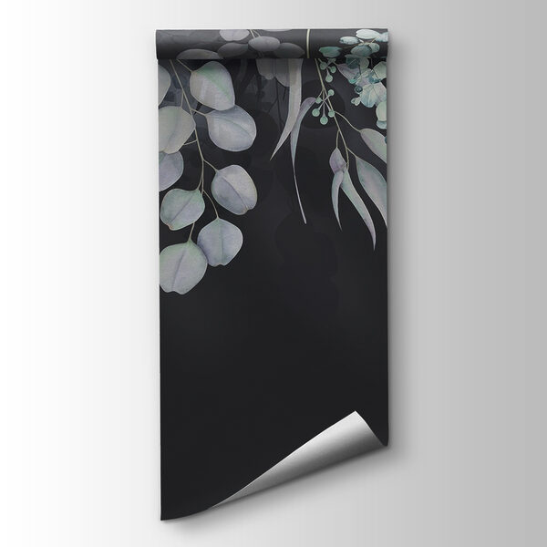 Graceful leaves against dark backdrop