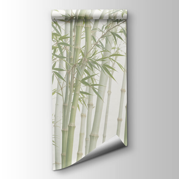 Group of bamboo stems Group of bamboo stems