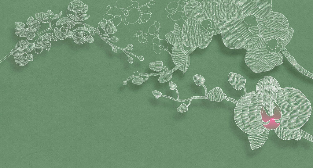 Delicate orchids against a green backdrop