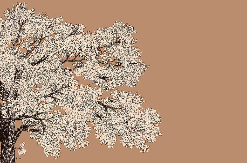 Tree with white flowers