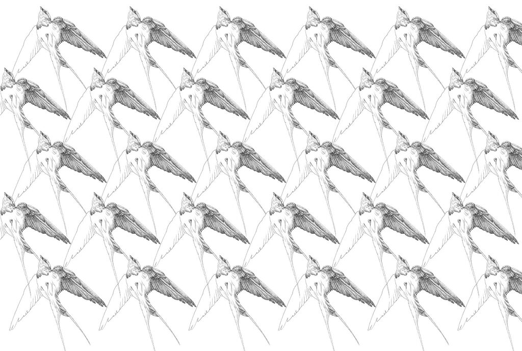 Group of birds with wings Group of birds with wings