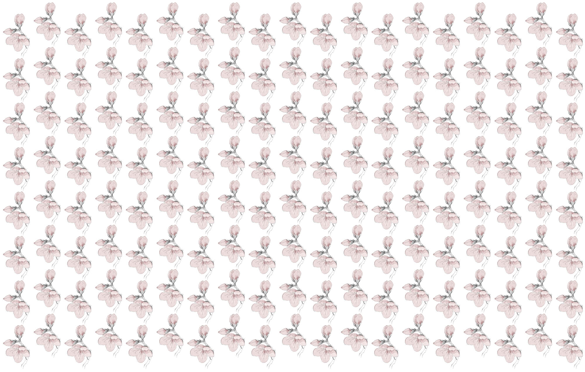 Pattern of flowers on a white background Pattern of flowers on a white background