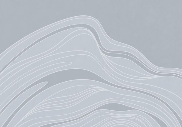 White lines on a gray background White lines on a gray background