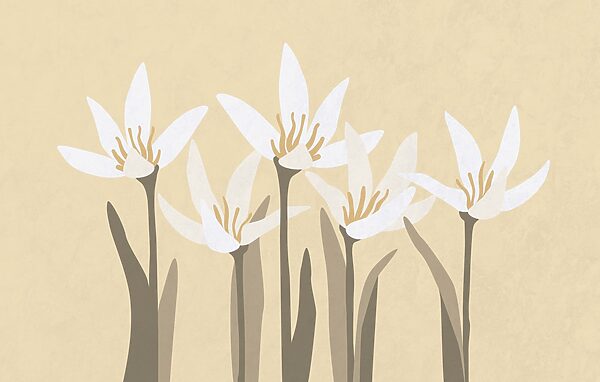 Group of white flowers