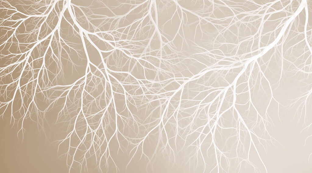 White branches on a beige background