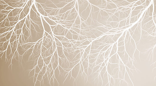 White branches on a beige background
