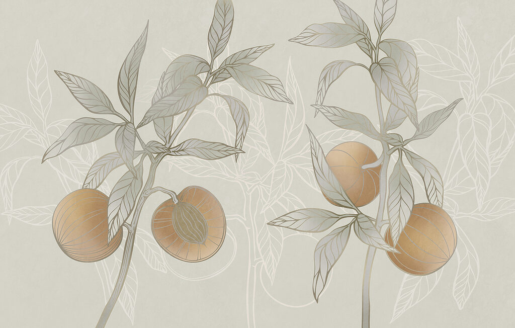 Drawing of a plant with leaves and fruit