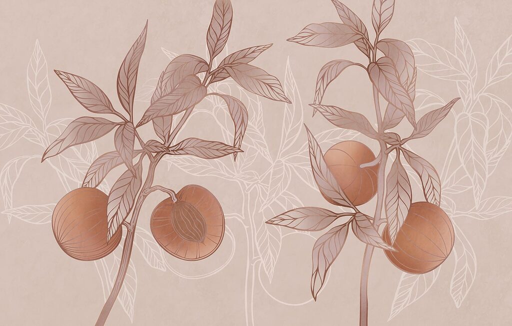 Plant with fruit and leaves