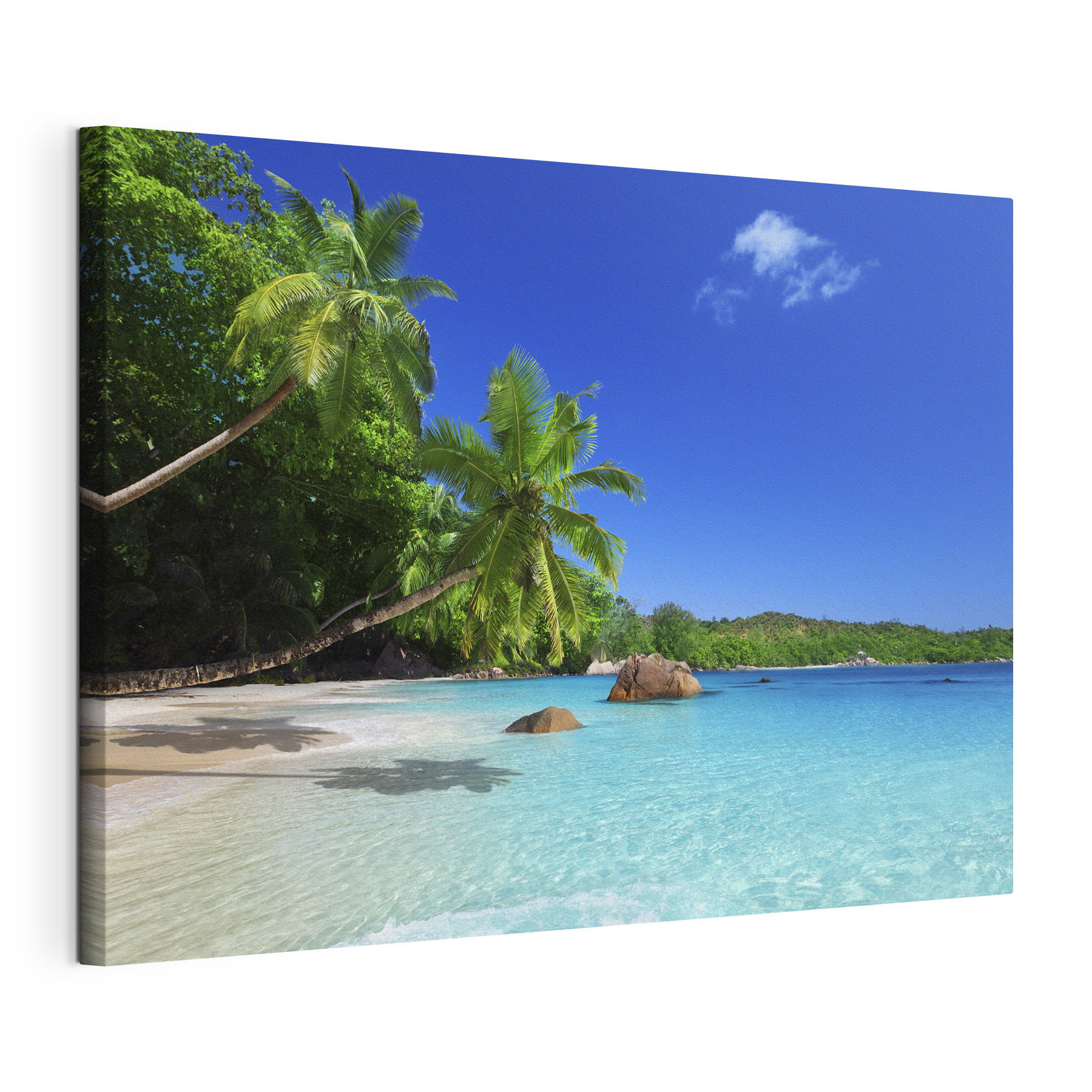A beach with palm trees and blue water