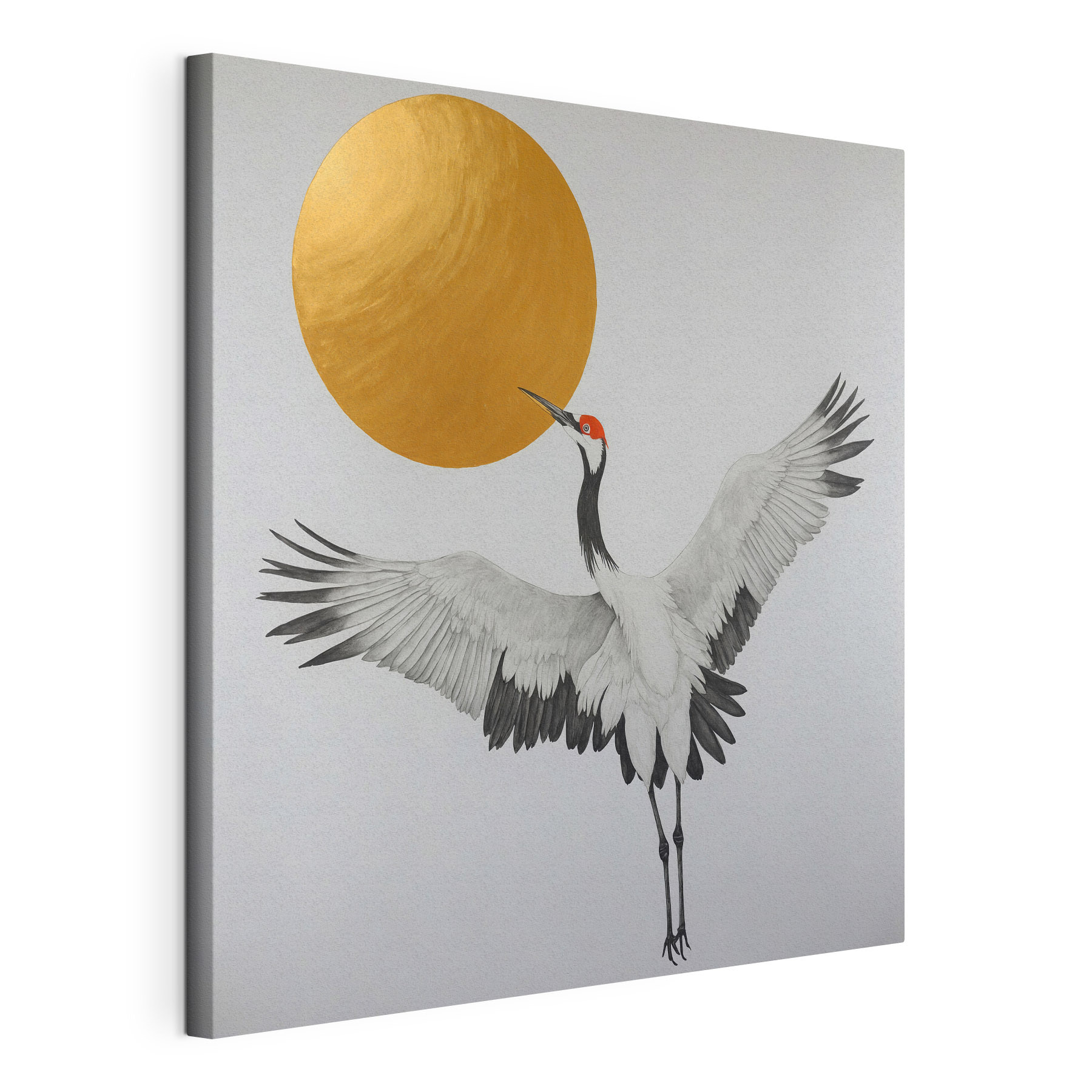 Crane dances under radiant sun