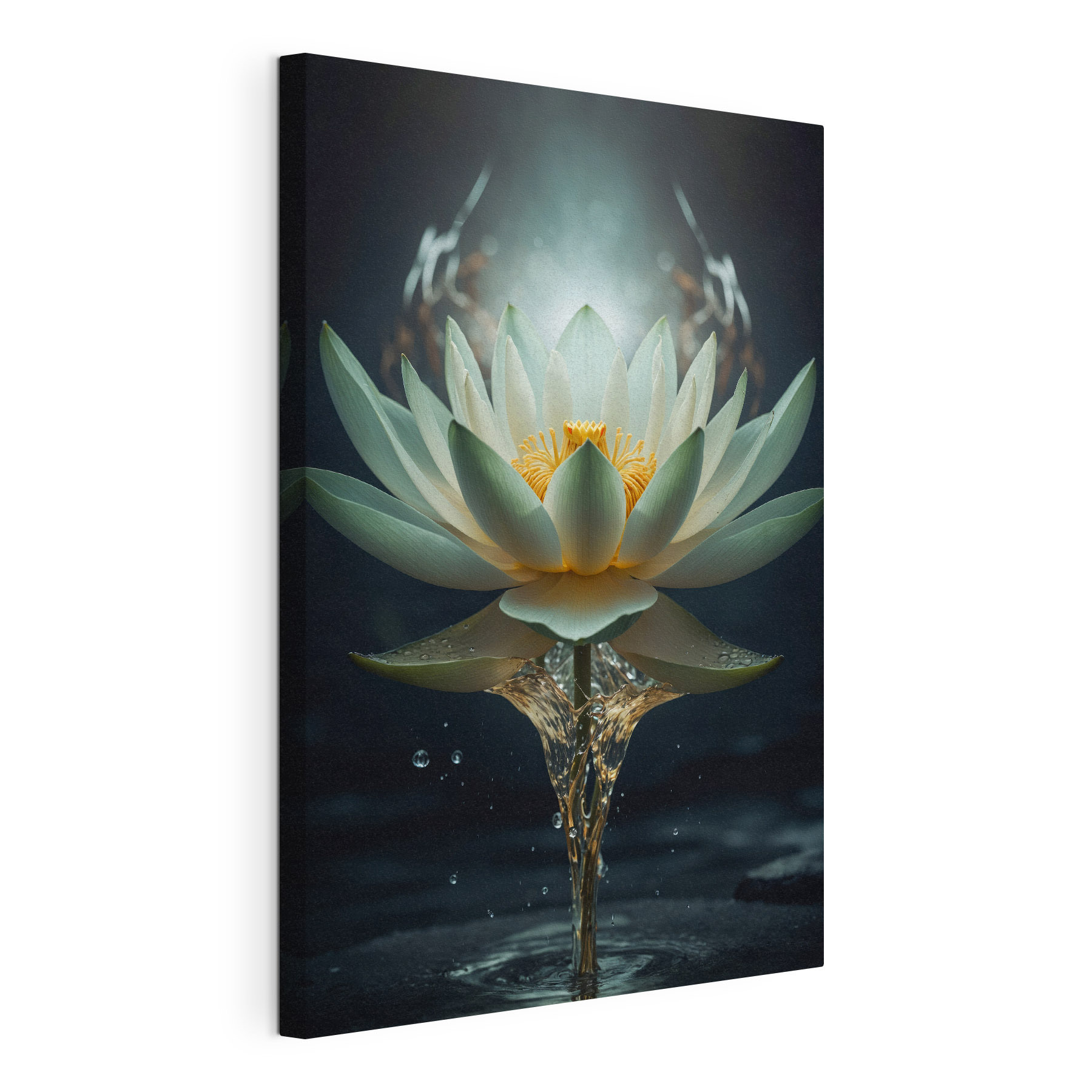 A white flower with yellow center and water splashing out