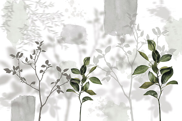 Group of leaves and branches Group of leaves and branches