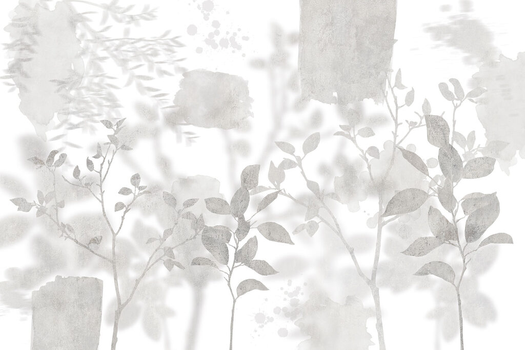 White and gray background with plants and leaves White and gray background with plants and leaves